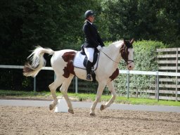 IMG_0848_web